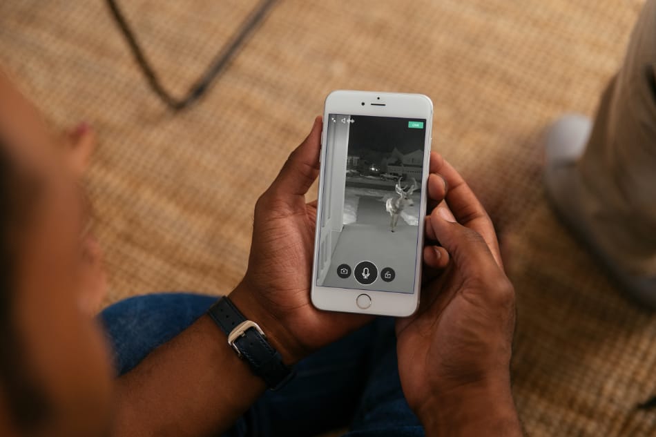 Hopkins MN security system